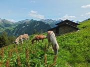 36 Baita Croce Monte Colle (1730 m.)...